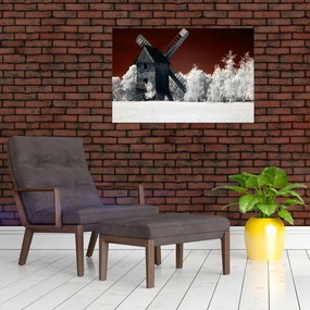 Tablou cu moară (90x60 cm)