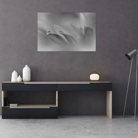 Tablou - Picătură pe floare,alb-negru (90x60 cm)