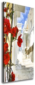 Tablou pe pânză Mykonos Grecia