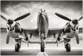 Tablou - Warbird (90x60 cm)