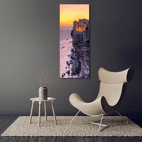 Imprimare tablou canvas Case pe stâncă