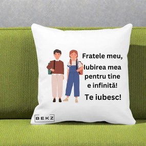 Cadou pentru Frate - Perna Personalizata Fratele Meu Te Iubesc Elevi Ilustratie Colorata, 40x40 cm, Alba Mata, Husa Detasabila, Perna Inclusa, BEKZ®