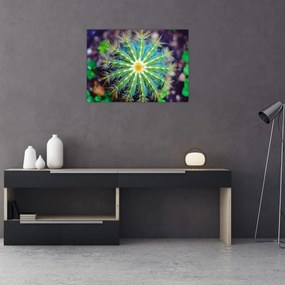 Tablou pe sticlă cu cactus (70x50 cm)