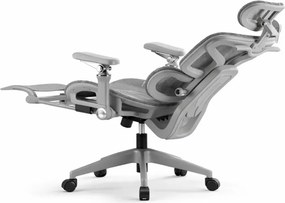 Scaun ergonomic, Sezut Translatie, cotiere 6D, tetiera 6D, suport lombar reglabil, spătar reglabil inaltime, pivotant, suport picioare, Gri