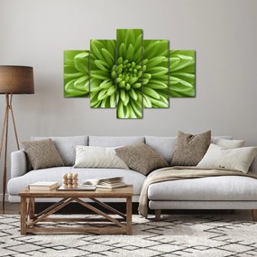 Tablou - Imagine macro a unei plante (150x105 cm)