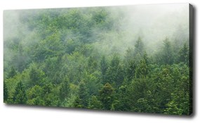 Tablouri tipărite pe pânză Pădure misterioasă