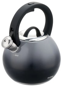 Ceainic cu fluier Klausberg KB 7955, 3l, Mâner izolat termic, Fund multistrat, Inducție, Gri închis grafit