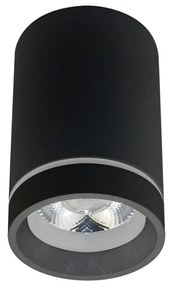 Spot LED aplicat de tavan/plafon Bill negru ZZ AZ3376