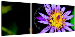 Tablou cu floare (cu ceas) (90x30 cm)