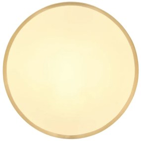 Plafonieră LED TIBEY LED/22W/230V d. 35 cm Globo 12381-22