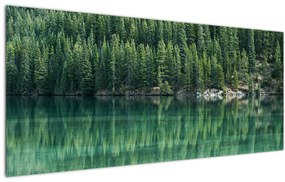 Tablou - Coniferi lângă lac (120x50 cm)