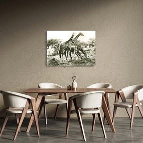 Tablou pe sticlă - Girafe, de epocă (70x50 cm)