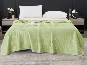 Pilota de vara racoritoare CELIA, verde Dimensiune: 140 x 200 cm