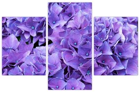 Tablou cu flori violete (90x60 cm)