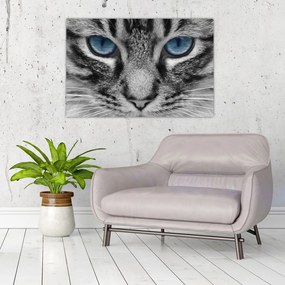 Tablou cu pisica (90x60 cm)