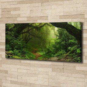 Tablouri tipărite pe pânză Jungle în nepal