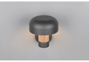 Corp de iluminat pentru exterior, de perete (înălțime 24,5 cm) Fraser – Trio