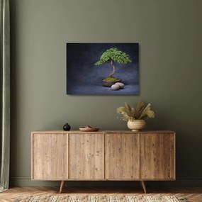 Tablou pe sticlă - Bonsai (70x50 cm)