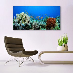 Tablou pe panza canvas Coral Reef Natura Multi