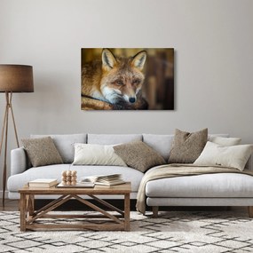 Tablou cu vulpe (90x60 cm)