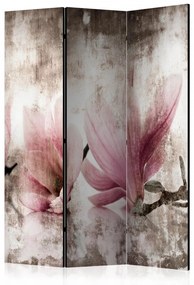 Paravan - Historic Magnolias [Room Dividers]