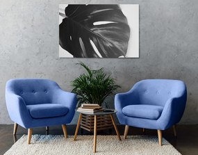 Tablou frunză de philodendron  alb-negru