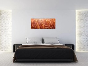 Tablou - Detaliu de textură (120x50 cm)