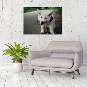 Tablou cu câinele alb (70x50 cm), în 40 de alte dimensiuni noi
