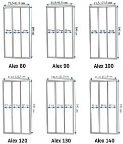 Usa pentru dus Alex 120 auriu periat