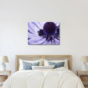 Tablou - Floare mov (70x50 cm)