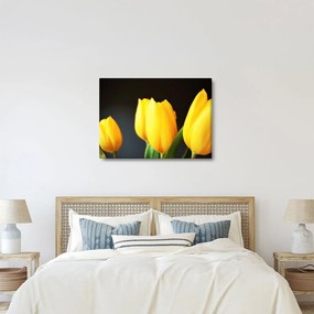 Tablou cu lalele (70x50 cm)