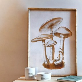 Tablou Mushrooms cu rama din lemn 50x80 cm - modele diverse