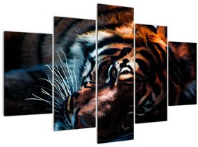 Tablou cu tigrul dormind (150x105 cm)