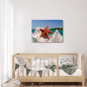 Tablou pe sticlă cu stea de mare (70x50 cm)