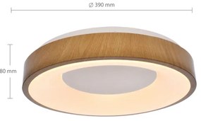 Plafonieră LED dimabilă DORIA LED/48W/230V 3000-6500K + telecomandă