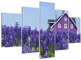 Tablou cu câmp de lavanda (150x105 cm)