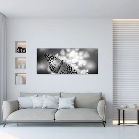 Tablou - Detailu cu fluture care polenizează floare (120x50 cm)