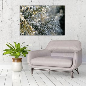 Tablou - Detaliu ramură (90x60 cm)