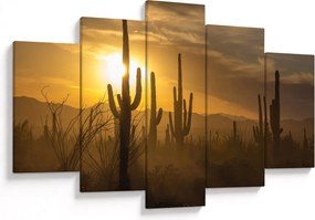 Tablou - Cactuși Saguaro (150x105 cm)
