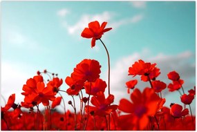 Tablou - Câmp cu flori roșu deschis (90x60 cm)