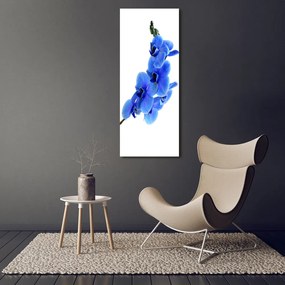 Fotografie imprimată pe sticlă Albastru orhidee