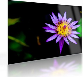 Tablou pe sticlă cu floare (70x50 cm)