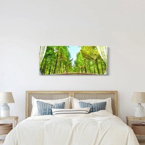 Tablou - Privire spre pădure (120x50 cm)