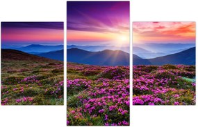 Tablou - Munte înflorit peisaj (90x60 cm)