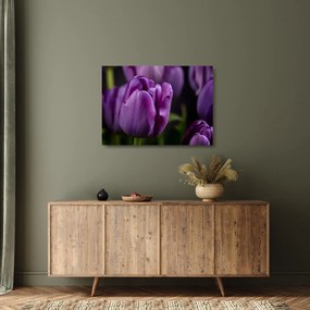 Tablou pe sticlă cu flori de lalele (70x50 cm)