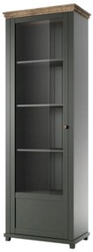 Vitrină Elvina Typ 05 (verde închis + stejar lefkas) (S). 1022379