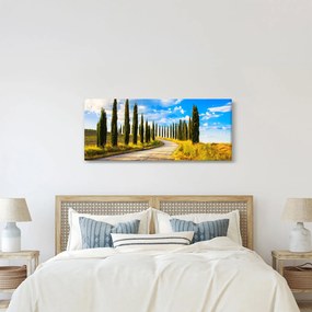 Tablou - Peisaj (120x50 cm)