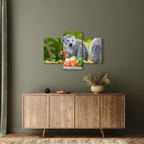 Tablou cu lemur (90x60 cm)