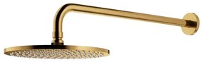 Para de dus cu suport fix Omnires Slimline auriu periat