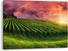 Tablou cu vie cu cerul color (70x50 cm)